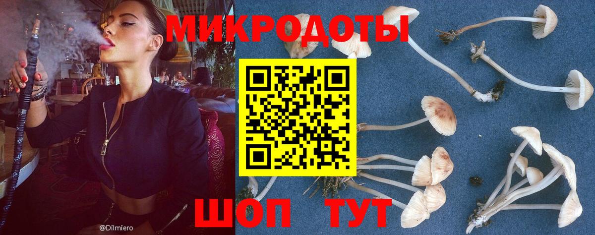Галлюциногенные грибы GOLDEN TEACHER Лянтор